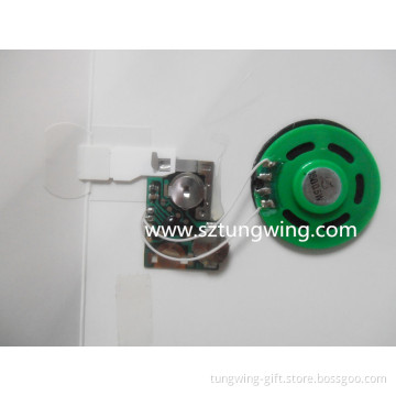 Music Chip for Greeting Card (TS-041)